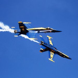 Meet your Posher, Elaine